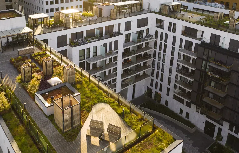 intensive green roof