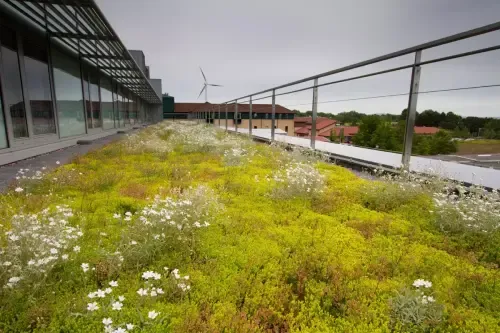 bmi uk ireland canopia green roofs