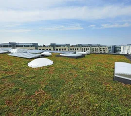 Green Roof