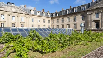 Green Roofs Benefits