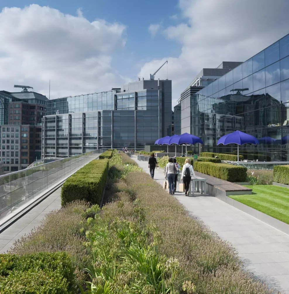 the potential of roofs