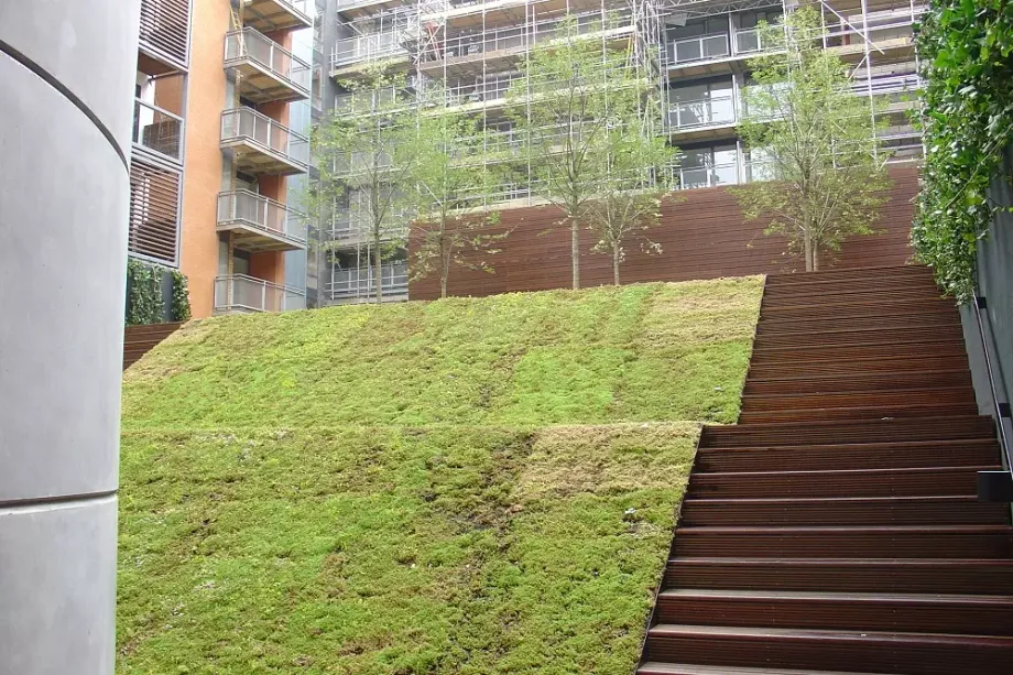 moho housing trees and grass