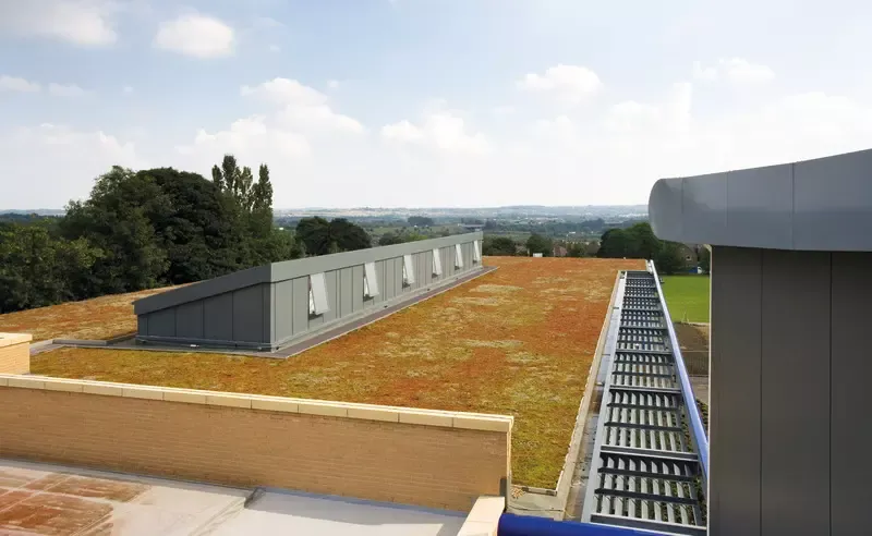 maximise your roof's potential