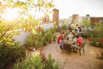 Roof top