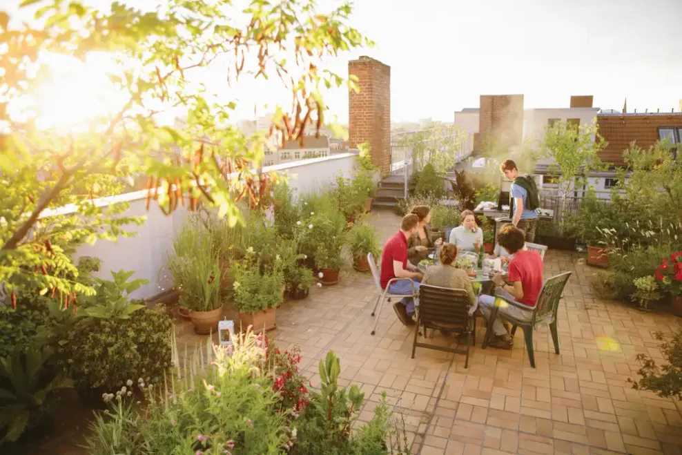 Roof top